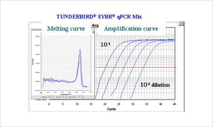 QPS- 101_example1_1.png
